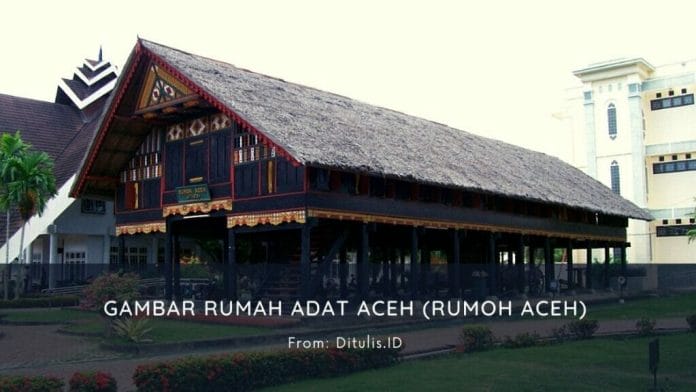 Gambar Rumah Adat Aceh Rumoh Aceh