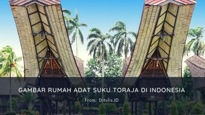 Gambar Rumah Adat Suku Toraja Di Indonesia