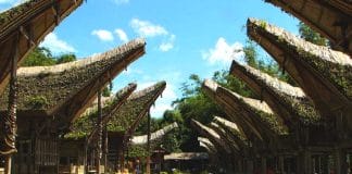 Mengenal Kearifan Lokal Masyarakat Tanah Toraja
