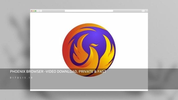 Phoenix Browser Video Download Private Fast