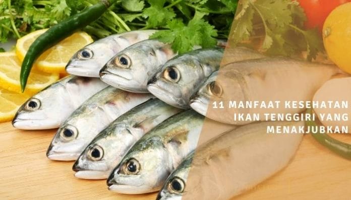 11 manfaat kesehatan ikan tenggiri yang menakjubkan