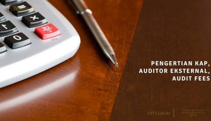 pengertian kap auditor eksternal audit fees