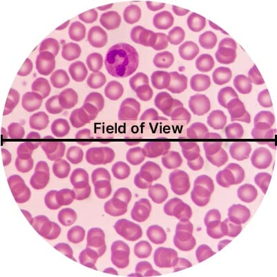 Field Of View Microscope
