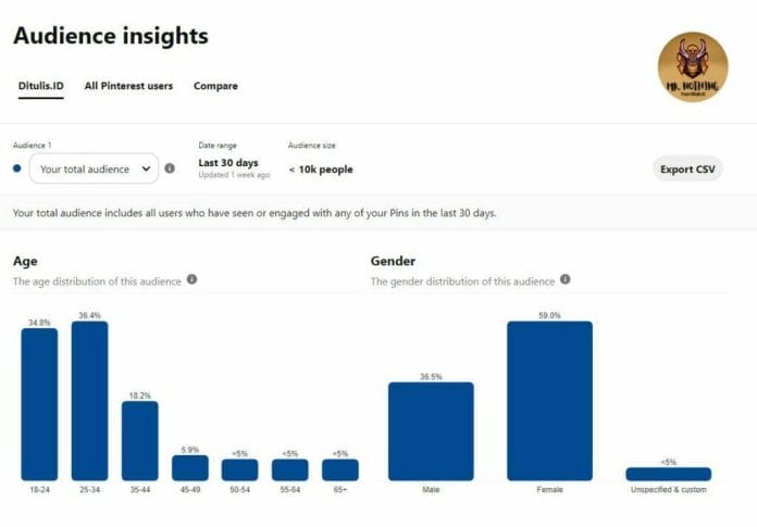 Pinterest Audience Insights | Ditulis.id