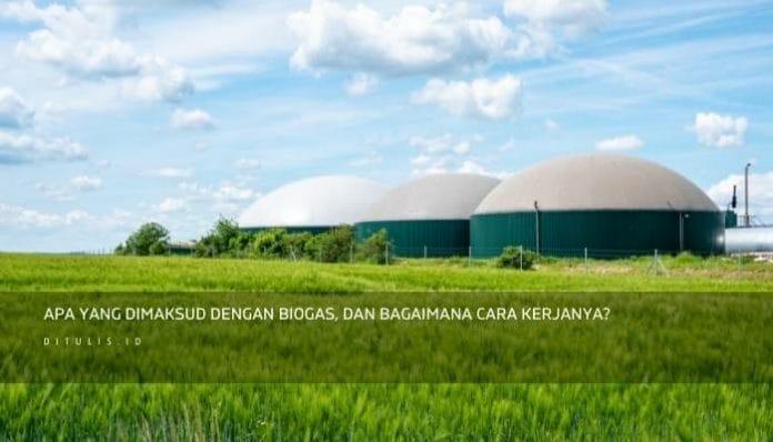 Apa Yang Dimaksud Dengan Biogas, Dan Bagaimana Cara Kerjanya?