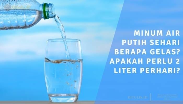 Minum Air Putih Sehari Berapa Gelas Apakah Perlu 2 Liter Perhari Ditulisid 9506